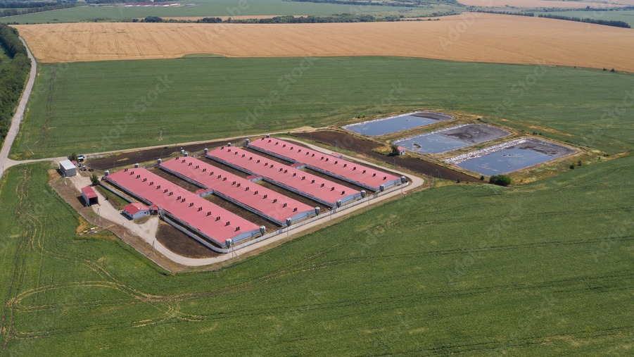 Vista aérea de granja porcina moderna