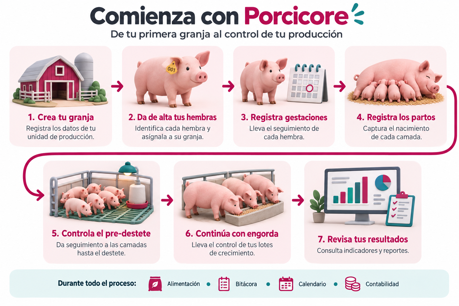 Comienza con PorciCore: crea tu granja, da de alta tus hembras, registra gestaciones y partos, controla el pre-destete, continúa con engorda y revisa tus resultados